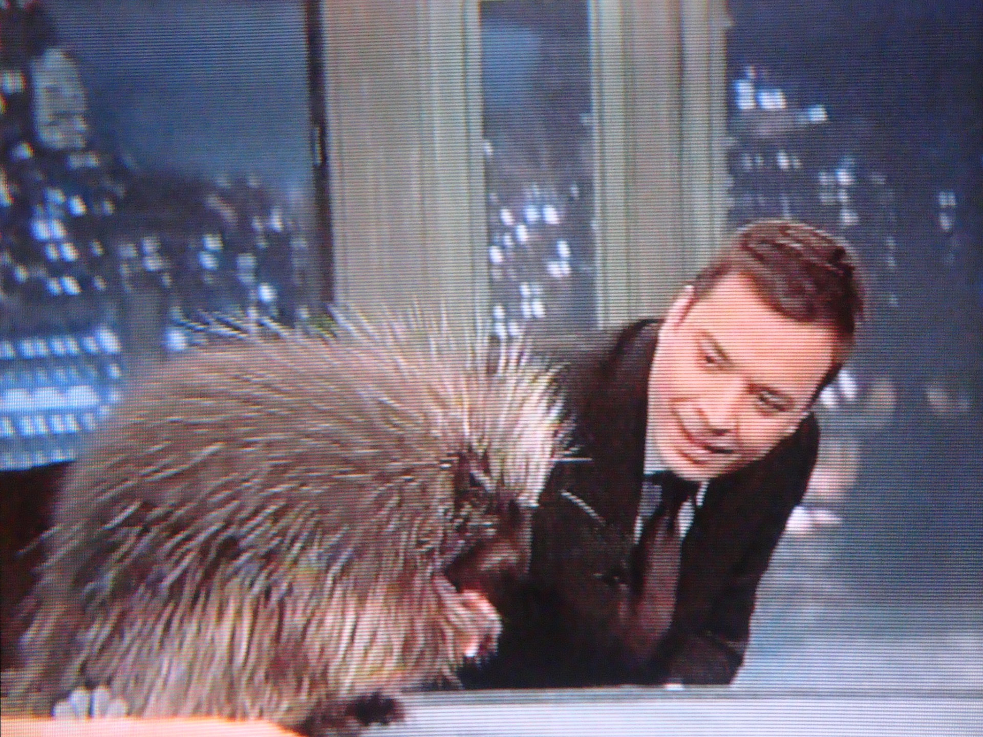 Jimmy Fallon and Porcupine