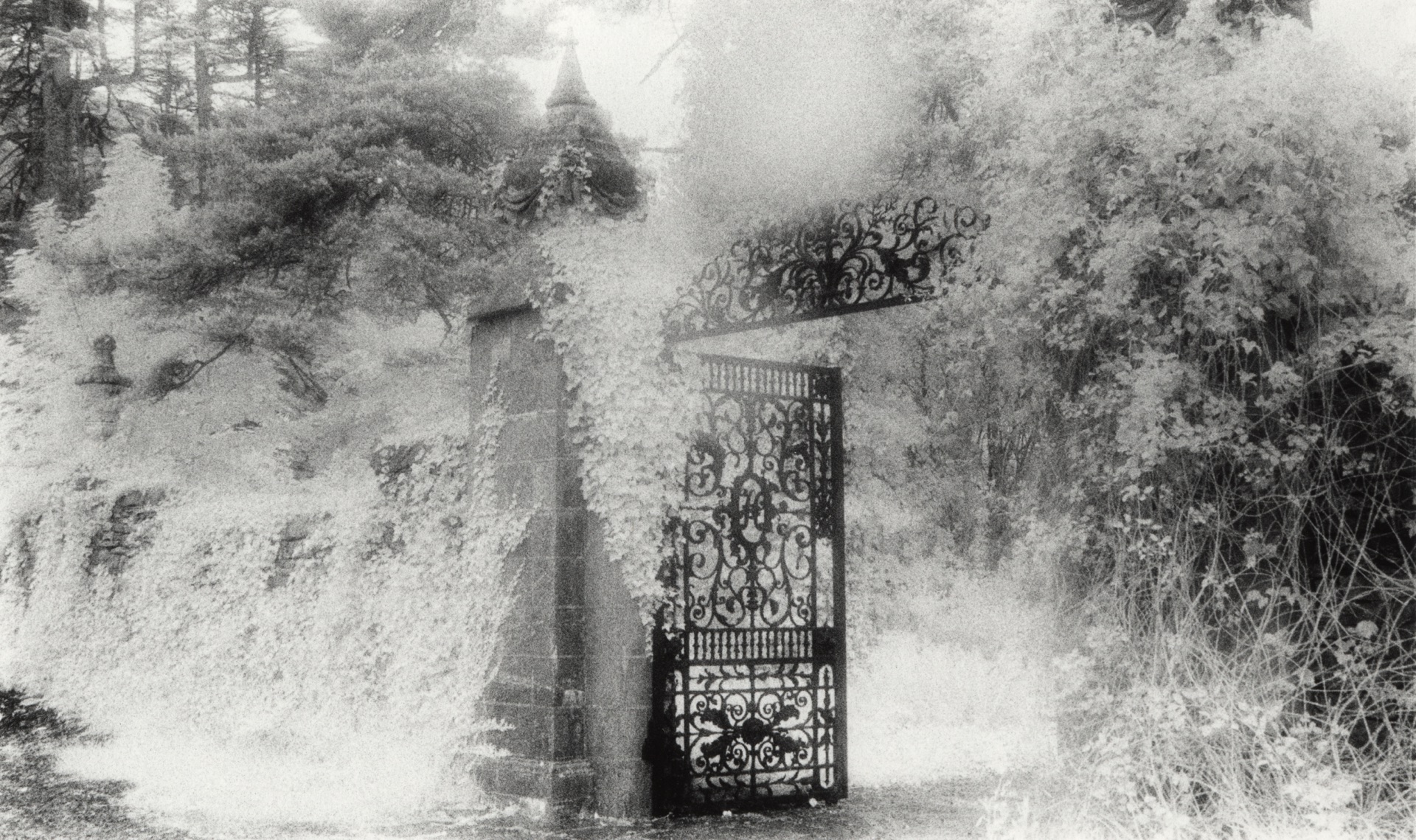 The Gate To Westport House, Ireland