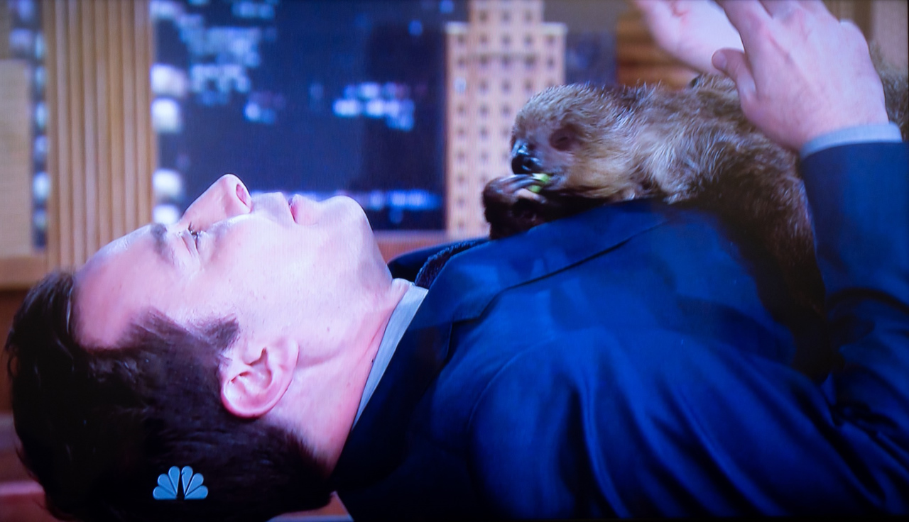 Jimmy Fallon & Two Toed Sloth