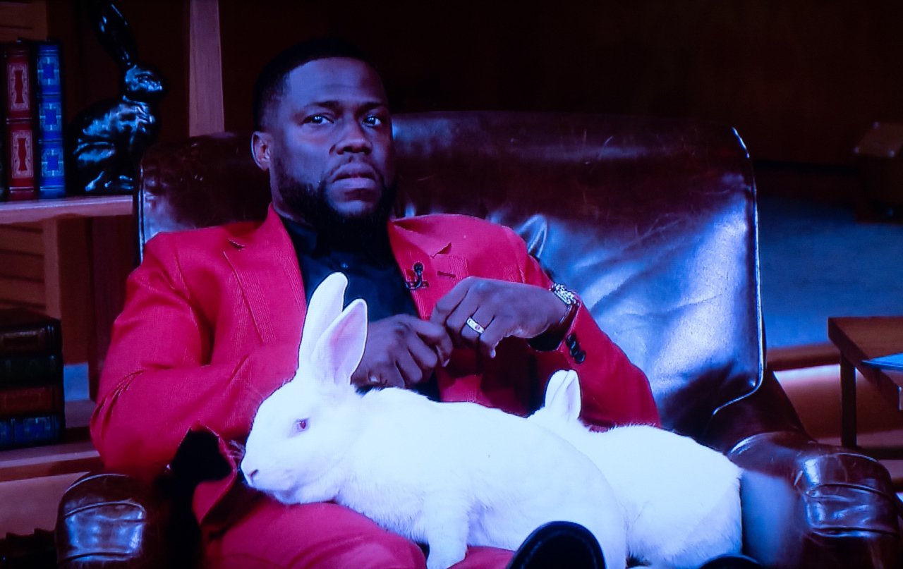 Kevin Hart & White Rabbits