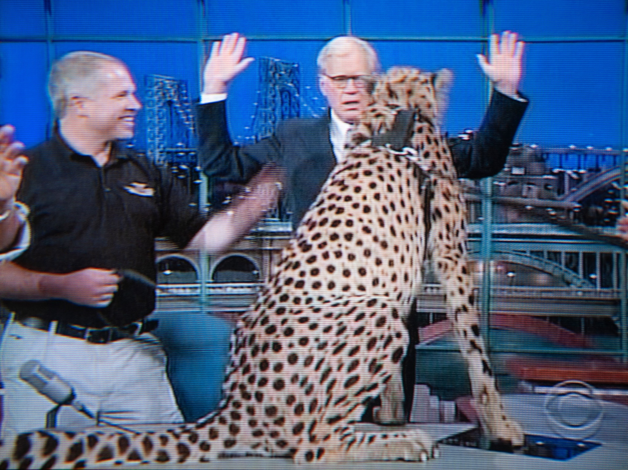 David Letterman & Cheetah 