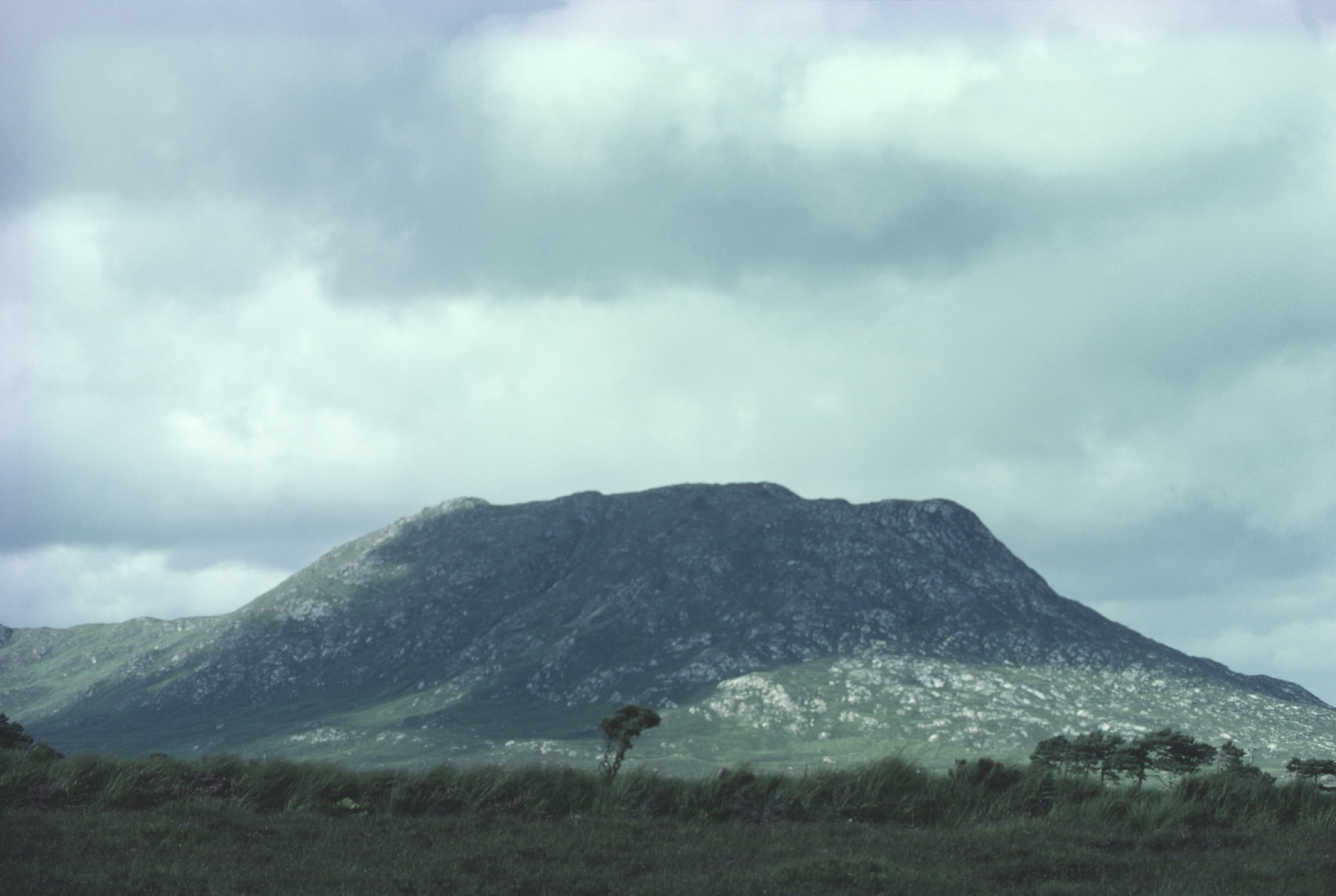 Small Tree and Hill near Maam, Connemara
