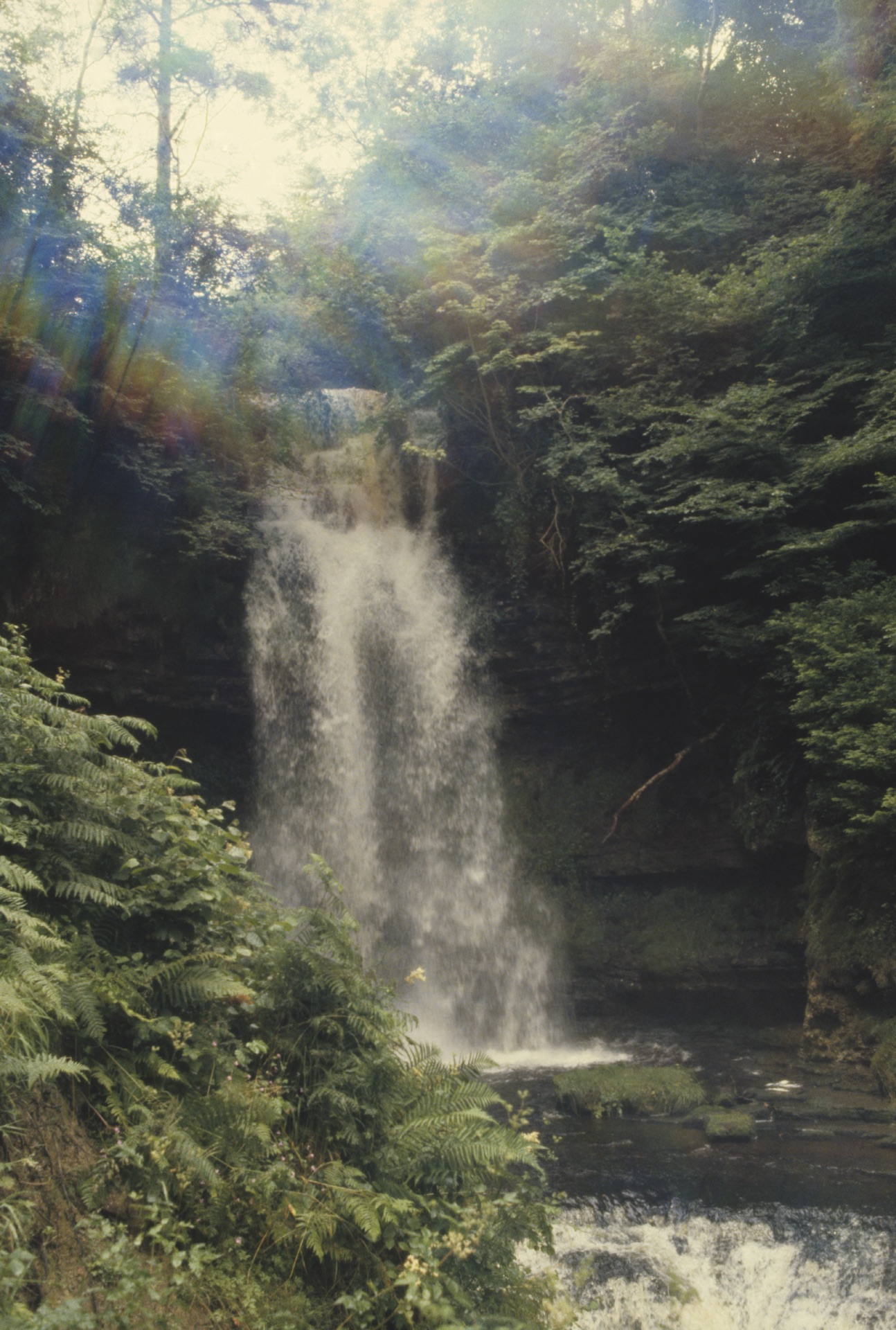 Yeat's Glencar Waterfall, Co. Sligo